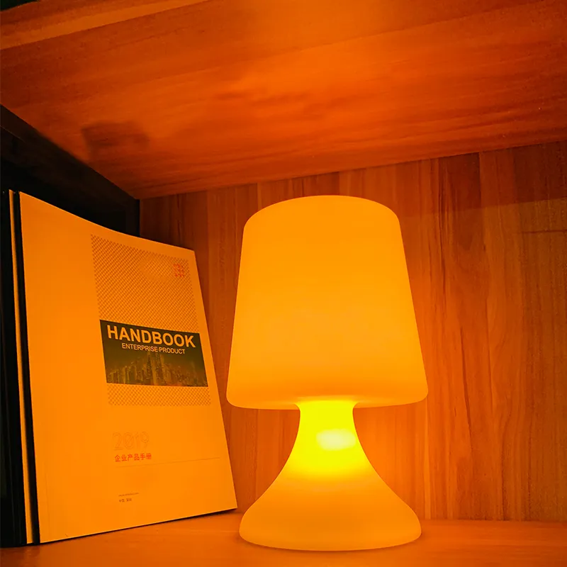 Brightness and Color RGB Light Night Lamp